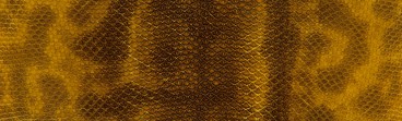 BUTTEROLUX