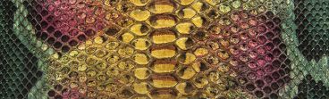 NAIF Python Molurus Back Cut