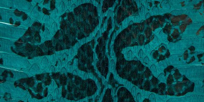 STAMPA-BOTHROPS